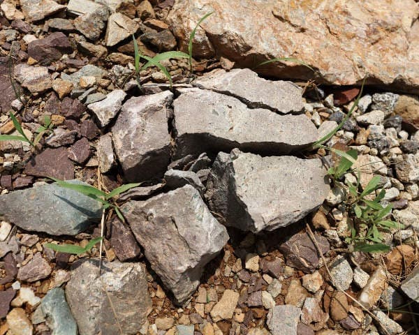 The Stones of the 37