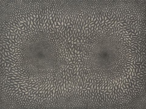 Stereodium · 장지에 연필 · 160x120xm · 2015