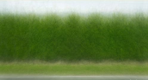 노을해안로 가이즈향나무 · 코튼지에 피그먼트 프린트 · 80×142cm · 2016