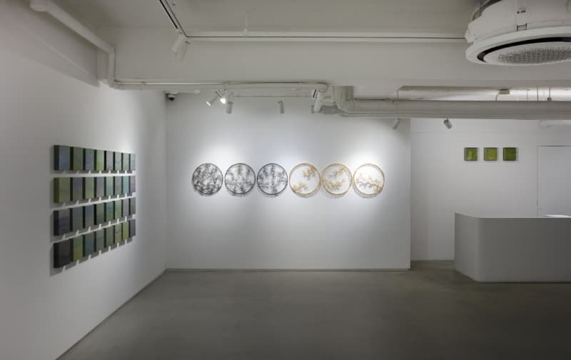설치전경 · Installation view