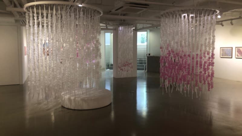 <핑크 파사드>_최성임