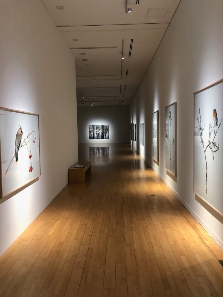 전시 전경 · Exhibition view