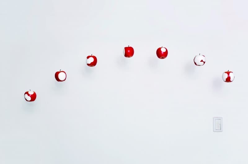 éclipse de pomme · pommes artificilles · dimension variable · 2019 · éclipse de pomme · pommes artificilles