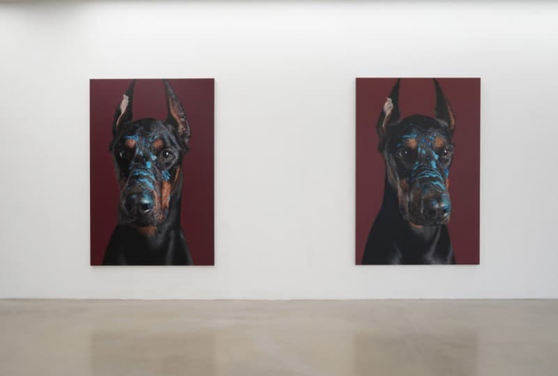 <강강훈> 전시전경 · <Kang Kang-Hoon> Installation view