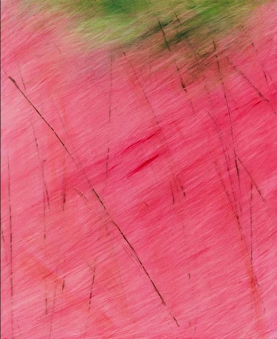 핑크뮬리 사이로 부는 바람2 · Oil on Canvas · swsying Pink Muhly Grass · Oil on Canvas