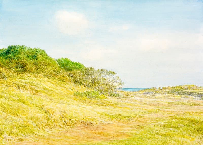제주도 방풍림 · 25x35cm · Jejudo Bangpungrim