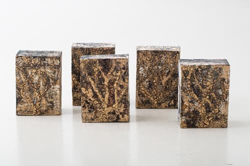 An Intimate Look at Trees 포스터