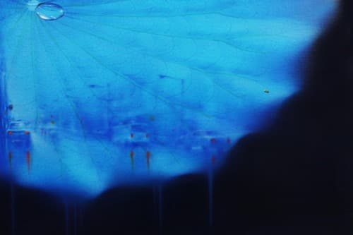 Blue Moon-space · Oil on Canvas · 27x41cm · 2019 · Blue Moon-space · Oil on Canvas