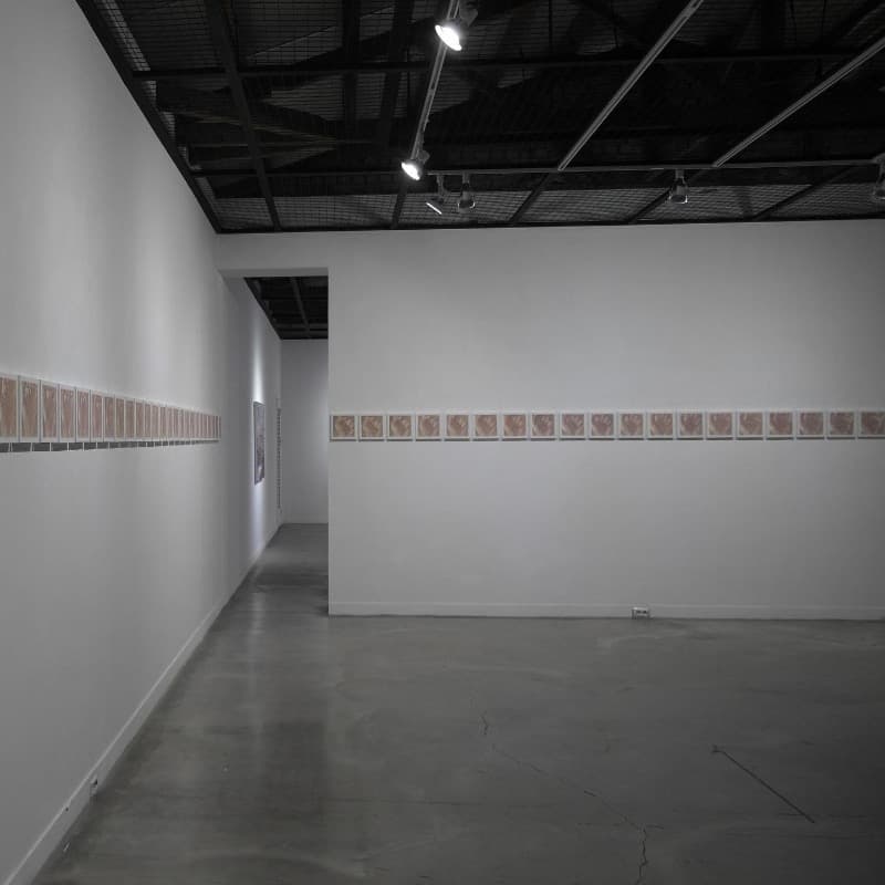 installation view · 2019 · installation view
