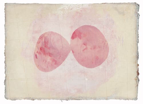 300 Paintings Project, 당신의 얼굴 - 신인정展