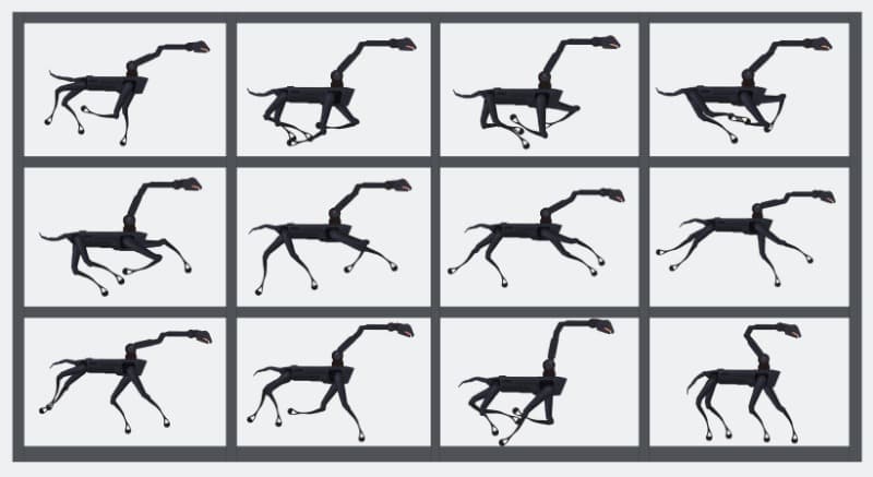 The dog in motion · The dog in motion