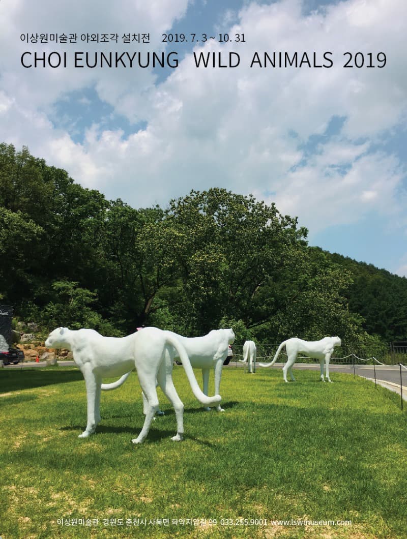 최은경 : WILD ANIMALS 포스터