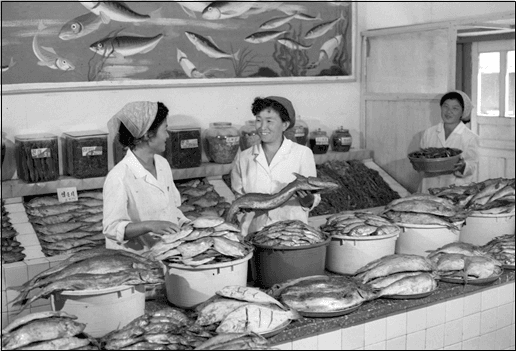 수산물 판매장 · 1981 · A marine product market