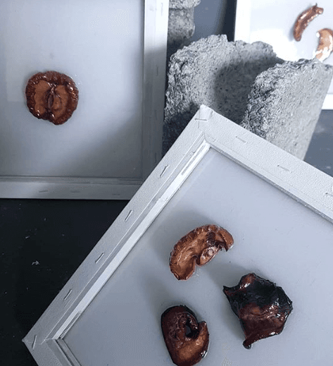 전시 작품 · installation works