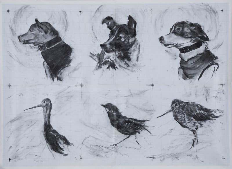 벨카_라이카-스트렐카 그리고 이름없는 새마리 철새들 · Charcoal on graph paper · 75 x 105cm · 2019 · Belka_Laika_Strelka and nameless 3 migrotary birds · Charcoal on graph paper