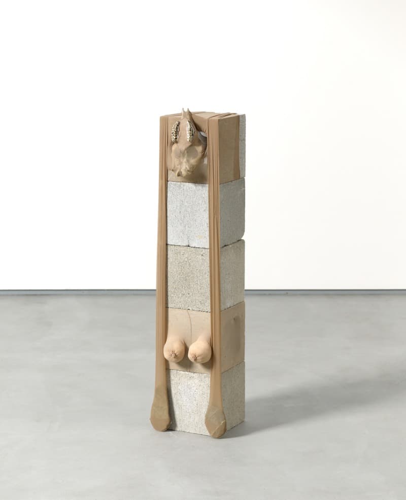Spirit of Ewe · tights_fluff_merino sheep skull_stone_concrete blocks · 99 x 20 x 26 cm · 2011 · Spirit of Ewe · tights_fluff_merino sheep skull_stone_concrete blocks