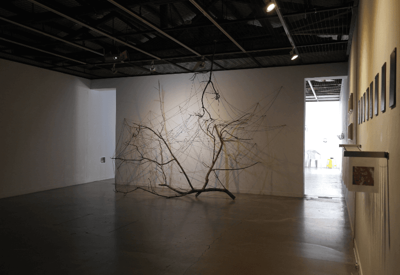 installation view · 2019 · installation view