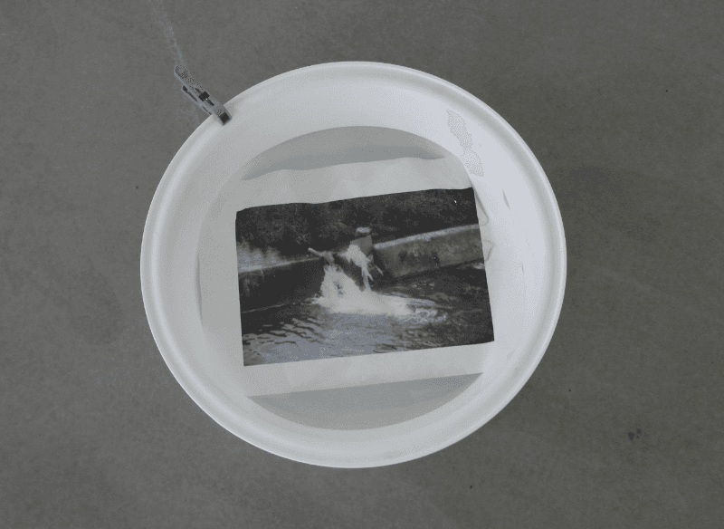 installation view · 2019 · installation view
