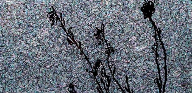a black dance-1908bb · 목판에 자개 · 41.5×80cm · 2019 · a black dance-1908bb