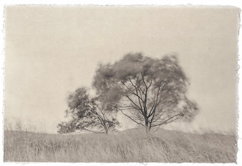 작품 사진 · Work image