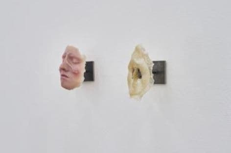 천 년 전의 나, 지금으로부터 천 년 후의 너 · 친환경 레진, 철 마운트, 실리콘 캐스트, 게딱지, 바이오플라스틱 · 가변크기 · 2019