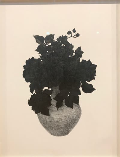 김은주-가만히 꽃을 그려보다 · 종이에 연필 · 37.5x49.5cm · 2019