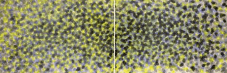 작품 80-M · Color on paper on canvas · 127×376cm · 1980 · Color on paper on canvas
