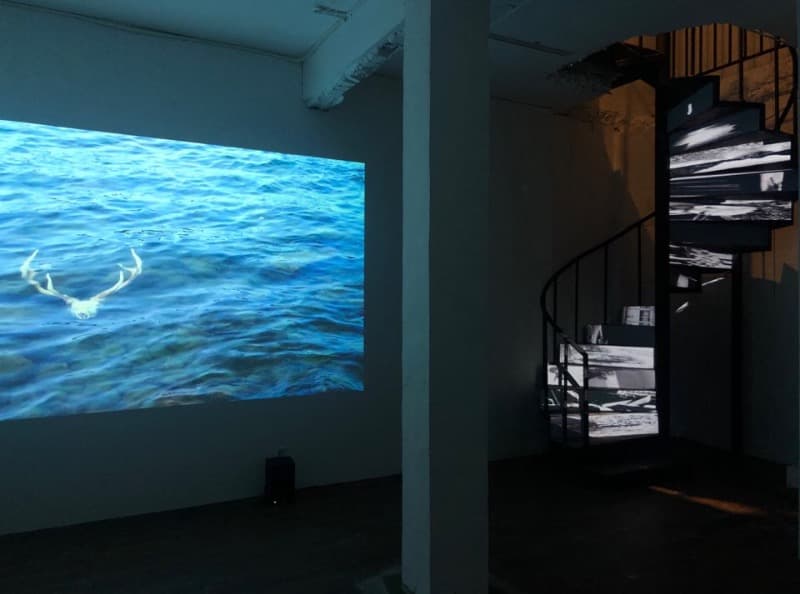 installation view · installation view
