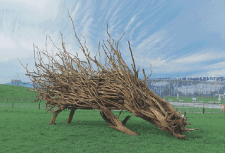 안치홍 - Shape · Wood · 800x240x300cm