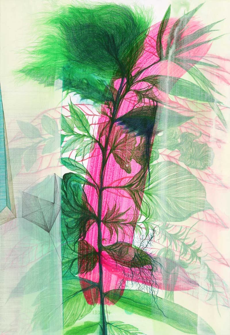 LEAF33 · Colored pencil and acrylic on paper · 41.5x28.5cm · 2019 · LEAF33 · Colored pencil and acrylic on paper