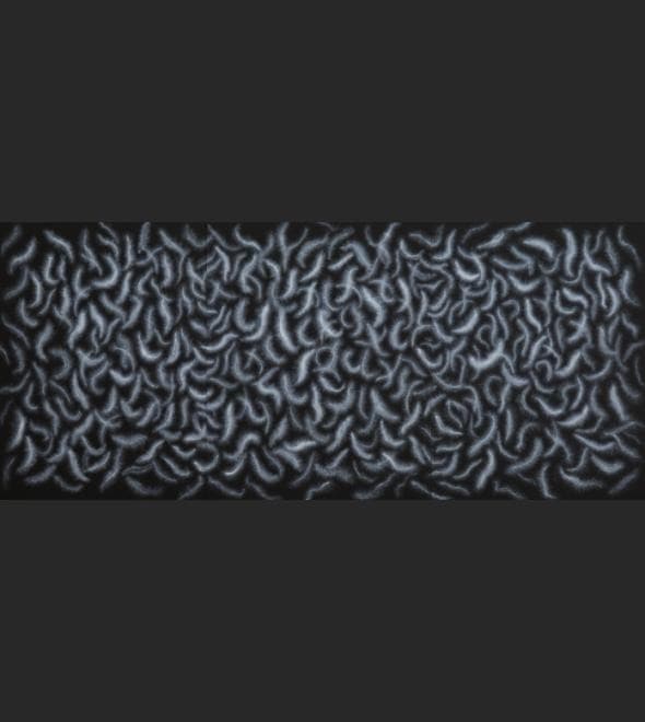 김설아_눈먼 재 · acrylic on paper · 100x230cm · 2015 · Blind ash · acrylic on paper
