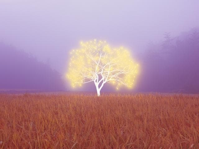 Tree of Life 1-2-1 · C-Type Print · 120X160cm · 2018 · Tree of Life 1-2-1 · C-Type Print