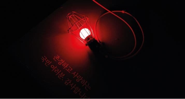 《보통의 거짓말 Ordinary Lie》 · 전시 전경