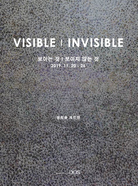 성희승 : 보이는 것 | 보이지 않는 것 포스터