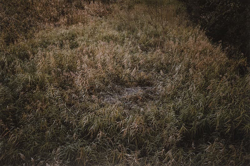고성_그림자들 헤아리다 지문이 거멓다 oss2214 · Archival Pigment Print on Mulberry Paper · 100cm x 67cm · 2017 · Ko sung_count shadows, fingerprint is black oss2214 · Archival Pigment Print on Mulberry Paper