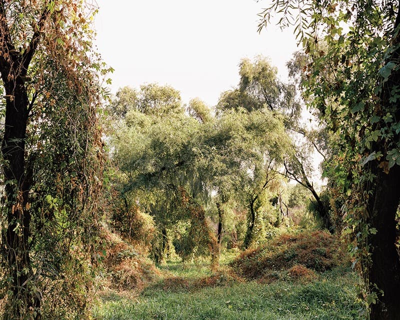 김승구_밤섬001 · Pigment Print · 40cm x 50cm · 2011 · Kim Seung-gu_Night island001 · Pigment Print