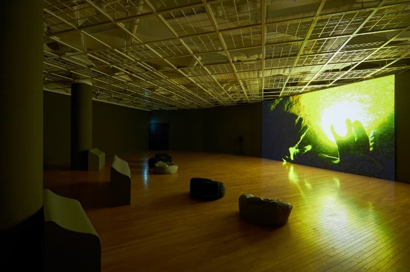 김희천, «탱크» 전시전경 · 아트선재센터 사진: 김연제 · 2019 · Installation view