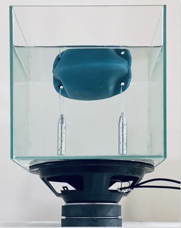 서혜민_float or sink · 수집한 부표, 사운드, 추, 물, 유리 수조, 스피커유닛 · 가변크기 · 2019 · float or sink · 수집한 부표, 사운드, 추, 물, 유리 수조, 스피커유닛