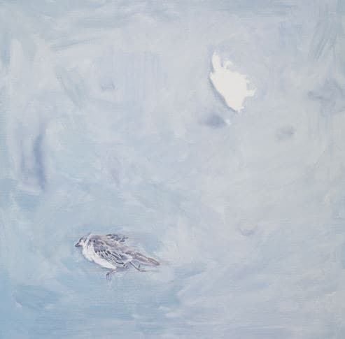 Leave behind · 캔버스에 유채 · 91×91cm · 2019 · Leave behind · Oil on canvas