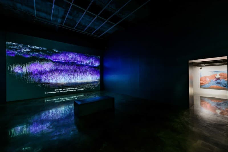 <알 아라바 알 마드푸나> 전시전경 · Installation view