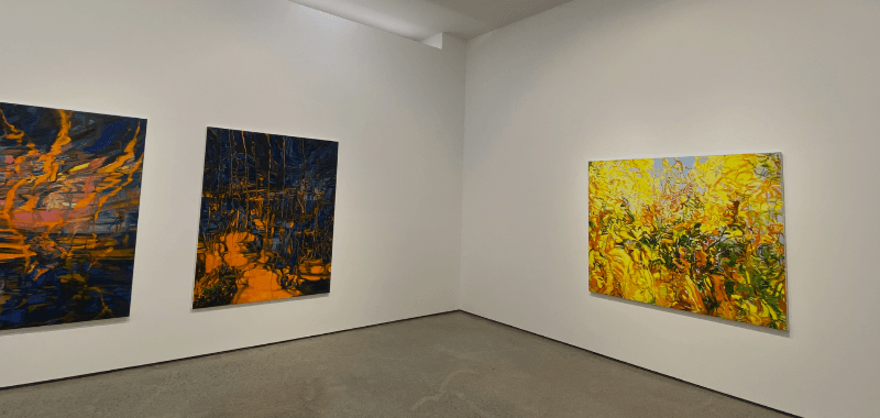 installation view · 2019 · installation view