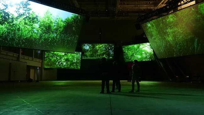<검은 강, 숨은 숲 – 6Senses> 전시전경 · Installation view