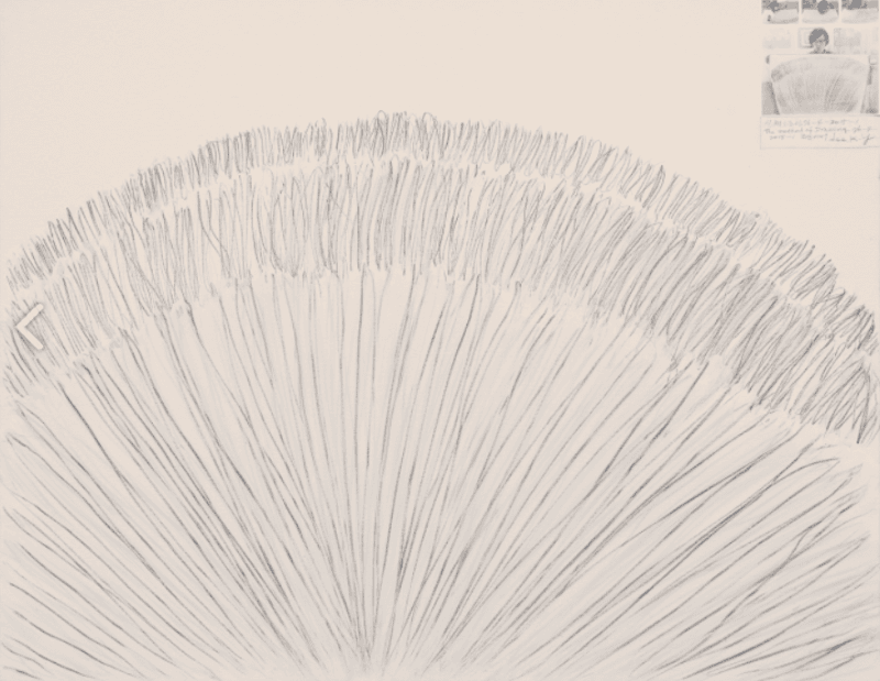 Body Drawing 76-4 · 캔버스에 연필,  사진 · 67x96cm · 2015 · Body Drawing 76-4 · pencil and pictures on canvas