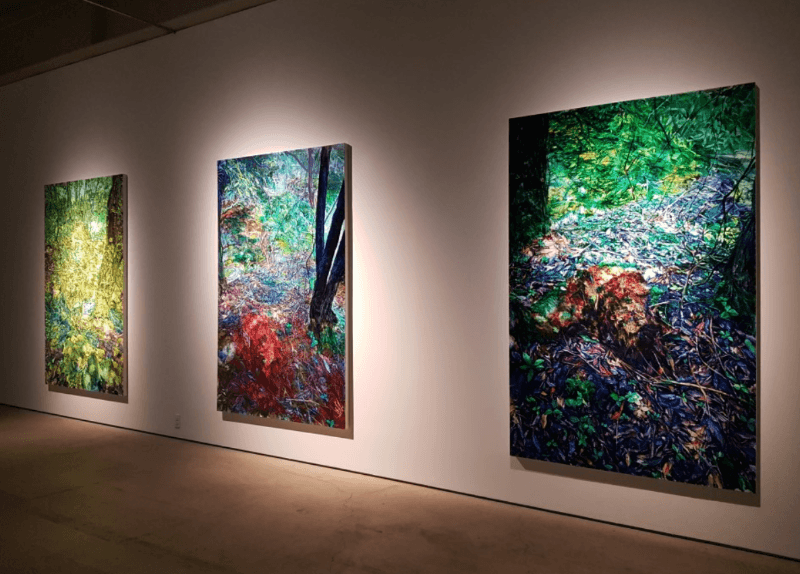 전시 전경 · Installation view