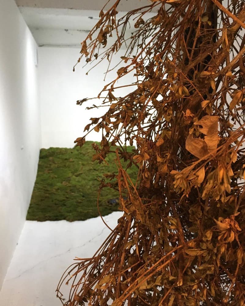 전시 전경 · Installation view