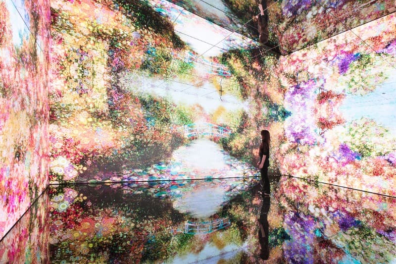 Dreaming Flower