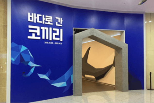 전시 전경 · Installation view