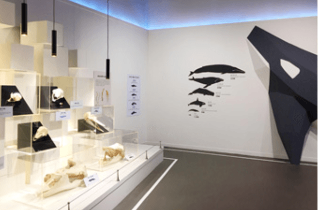 전시 전경 · Installation view