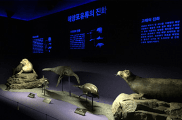 전시 전경 · Installation view