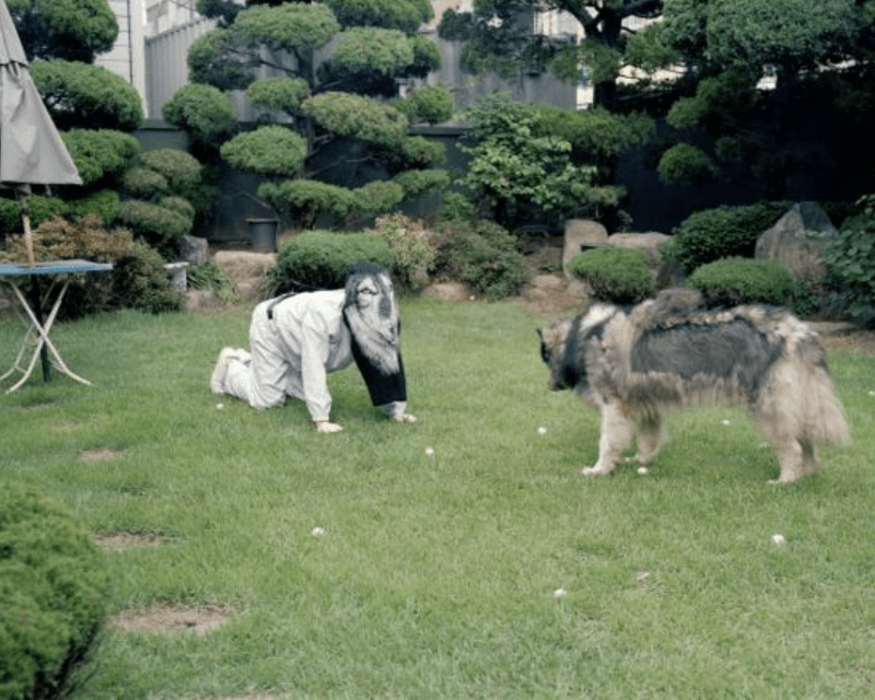 류현민_Dog, From the series giggle · 100x80cm · 2010 · Ryu Hyun-Min_Dog, From the series giggle